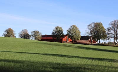 Grön gräsmatta med röd gård och träd
