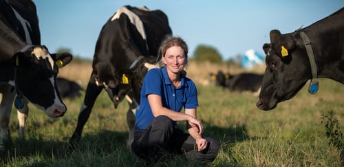 Hanna Karlsson står på huk intill tre kor i en hage.