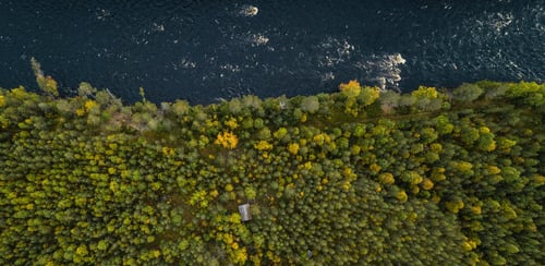 Flygbild över Öreälven och intilliggande skog, Västerbotten