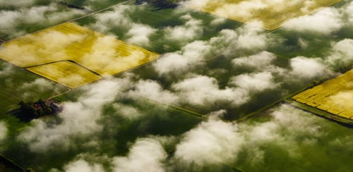 Flygbild över raspfält