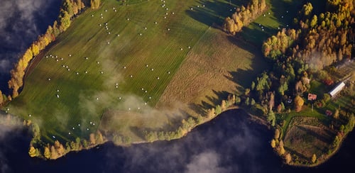 Lantbruksfastighet med nyskördad vall intill sjö ochskog