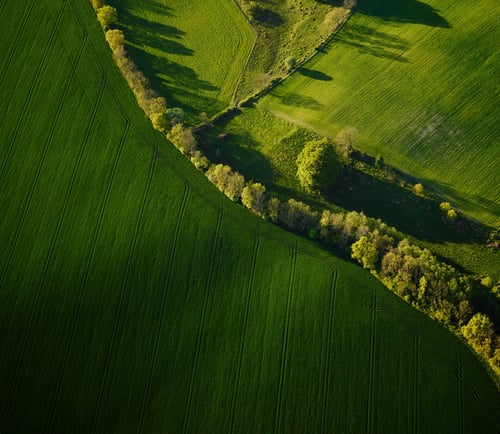 Vy över åkrar i Skåne.