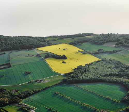 flygfoto över åkrar