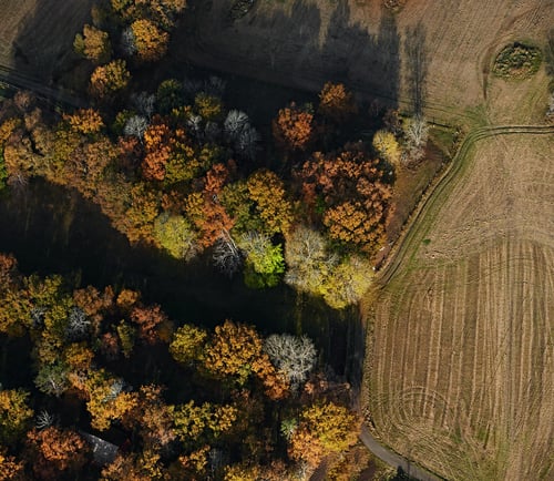 Flygfoto över skog och åkrar