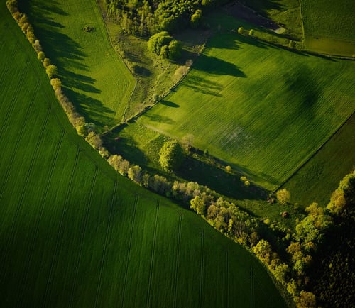 Vy över åkrar i Skåne.