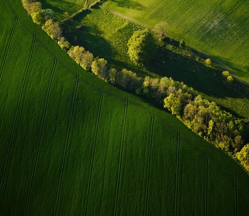 Vy över åkrar i Skåne.