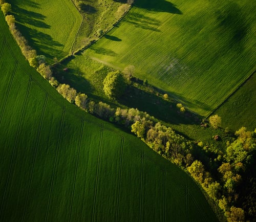 A green field photographed from above
