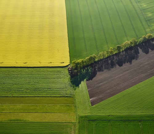Vy över åkrar i Skåne.