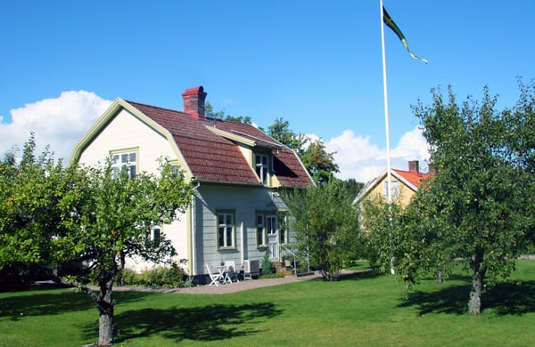 Villaträdgård med äppelträd