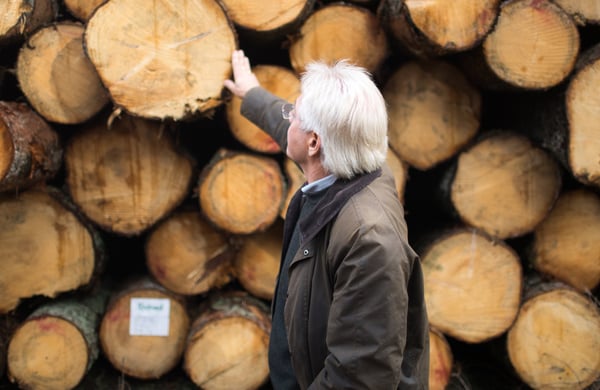 Man står framför timmerstockar och tittar mot dem