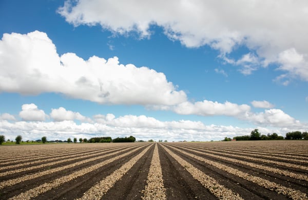 Jordbruksmark Vellinnge, himmel med moln