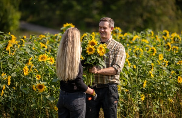 Arvid och Tove står mitt emot varandra framför ett fält med solrosor.