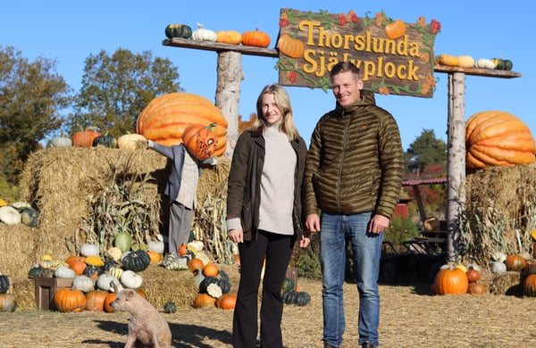 Rebecca och Niklas Ringborg står framför sin pumpavärld