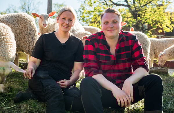Carl-Johan och Sara sitter framför en grupp får.