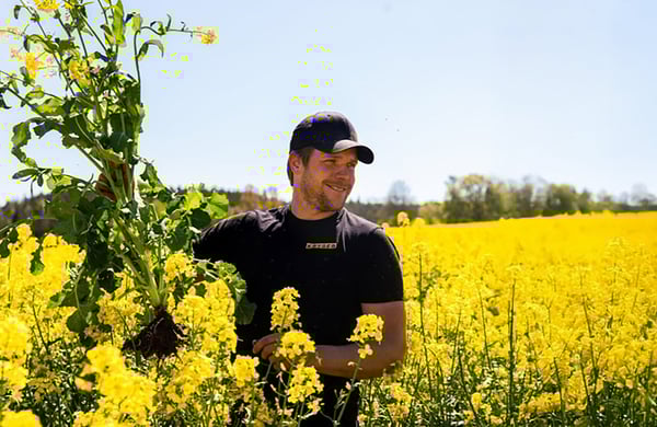 Carl står i ett blommande rapsfält