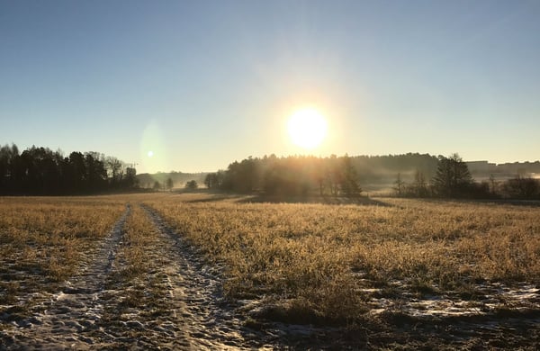 Soluppgång vid åker