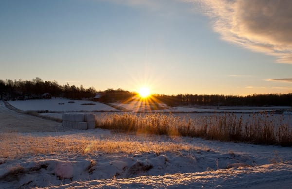 Vinterlandskap i solnedgång