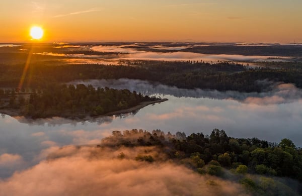 Vy över dimhöljd skog och sjö