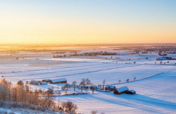 Jordbrukslandskap vinter