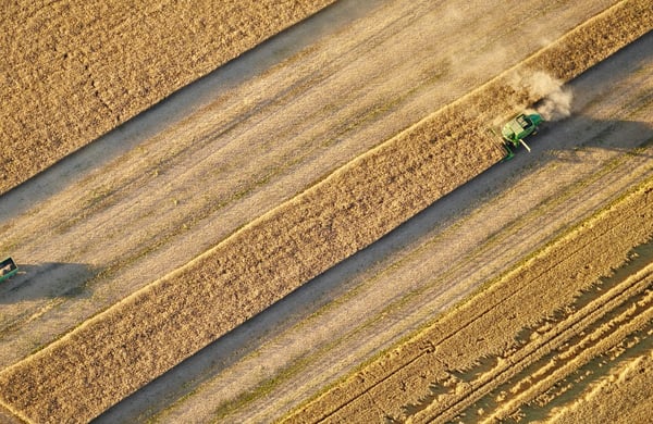 Flygbild över höstskörd av vete med skördetröska och traktor med släp i Östergötland.