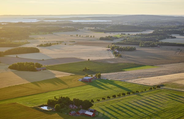 Åkerlandskap sett från ovan