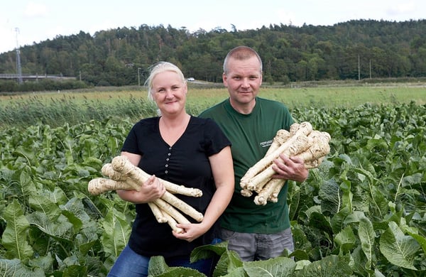 Margaretha och Mikael Jonsson står med pepparrötter i famnen på ett fält på Pepparrotsgården i Fjärås