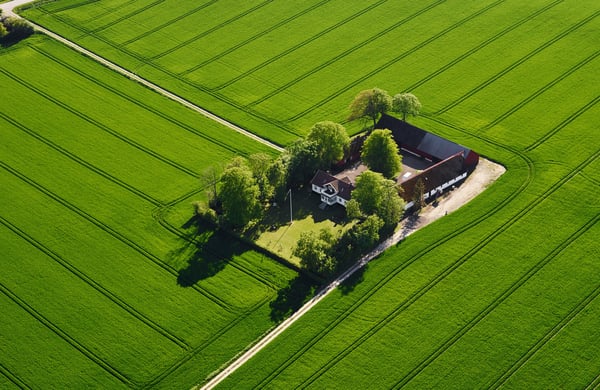 Flygfoto över gård omgiven av klargröna åkrar