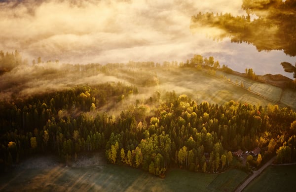 Flygbild över skog och åkrar i Värmland