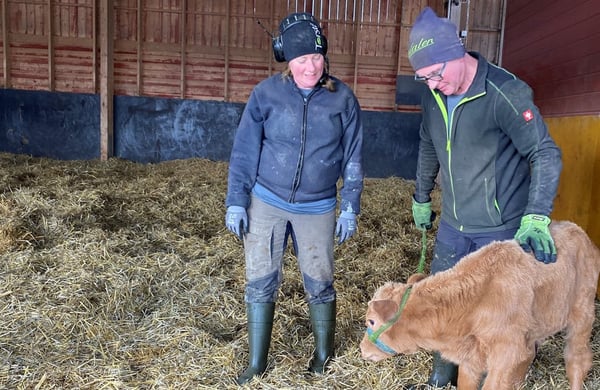Torgny och Eva-Maria Widholm på Trägsta Gård i ladugården med en kalv