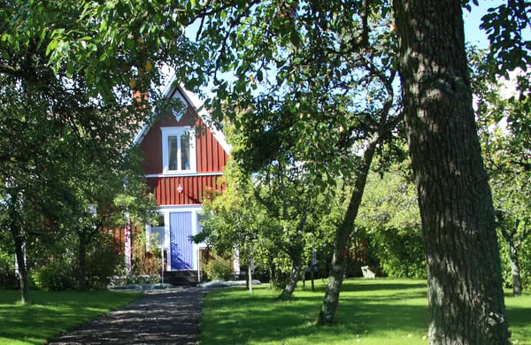 Rött hus gömt bakom buskar och trädgrenar