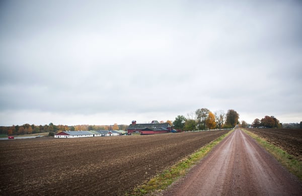 En grusväg mitt i ett fält