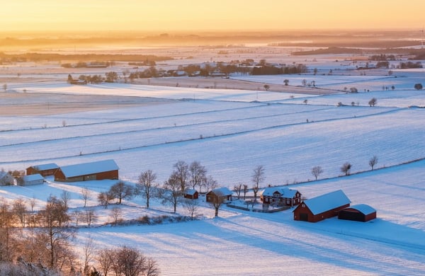 Lantgård i vinterskrud