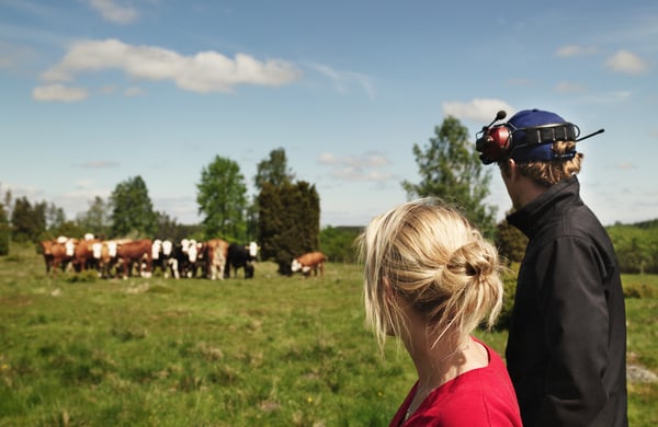 Två lantbrukare, en kvinna och en man, står med ryggen mot kameran och tittar ut över en kohage