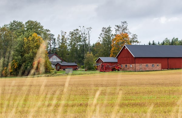 Röd ekonomibyggnad med ett fält i förgrunden.