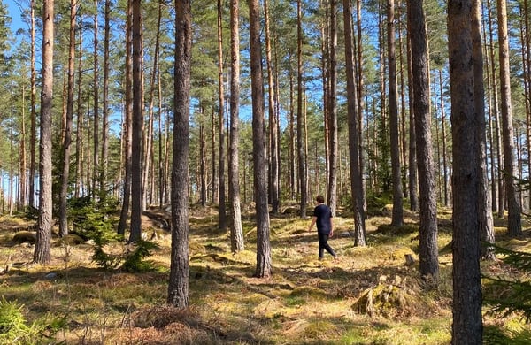 Man går i skogen