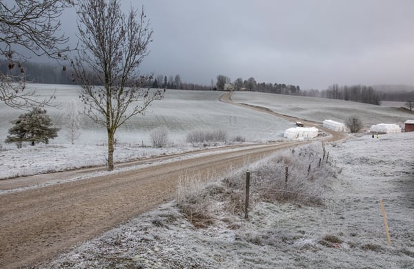Vy över vinterlandskap