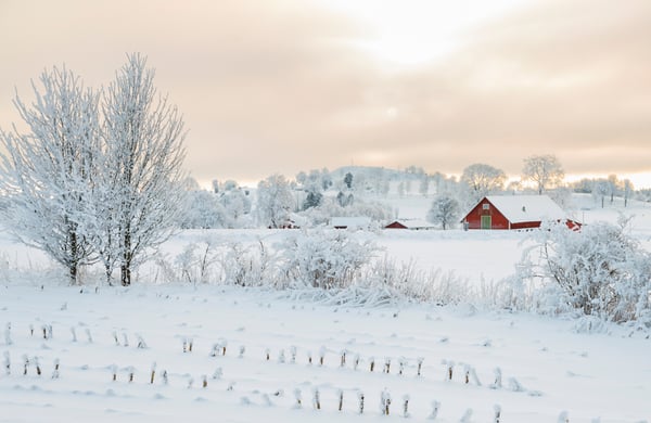 Rural winter landscape with a farm