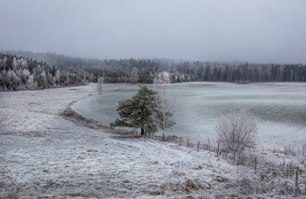 Landskap med åker och skog, med ett tunt lager snö på marken