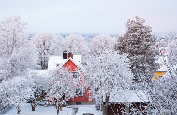 House with frost on the trees in the garden