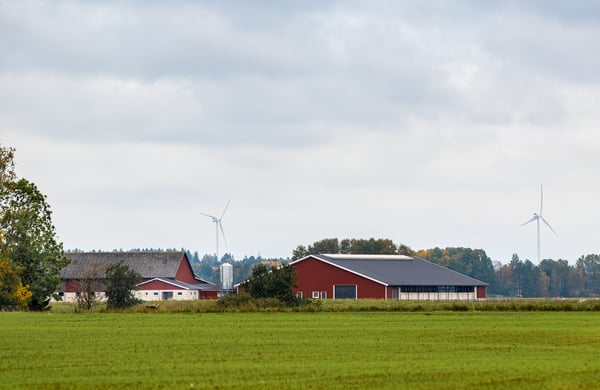 Röda och vita ekonomibyggnader med ett grönt fält i förgrunden