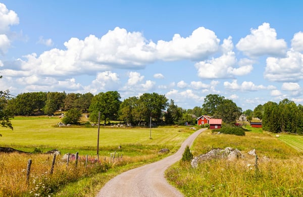 Liten väg i sommarlandskap