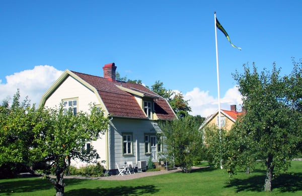 Vitt hus och grönskande trädgård.