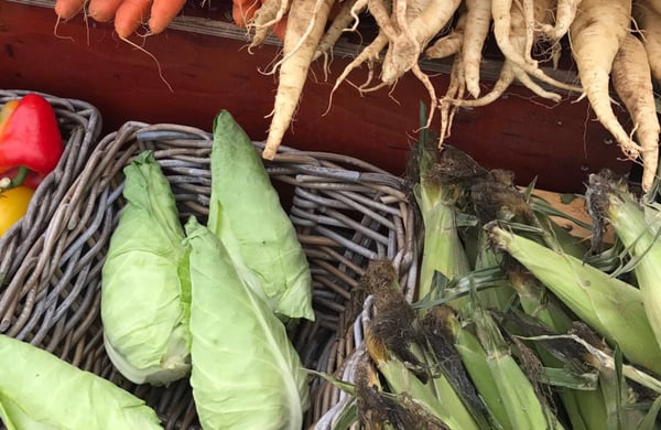 Korgar med olika grönsaker och rotfrukter