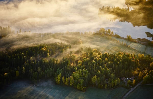 Flygbild över skog och åkrar i Värmland