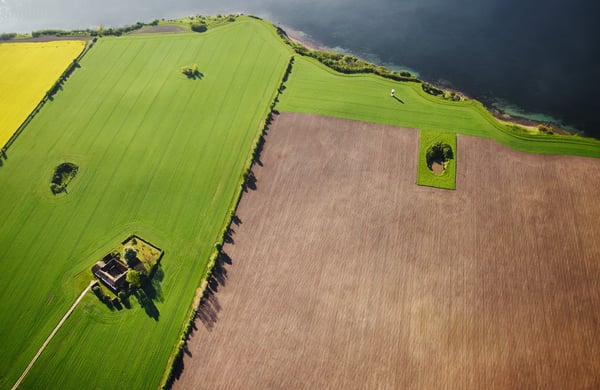 Vy över åkrar i Skåne.
