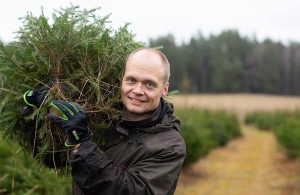 Man bär en julgran