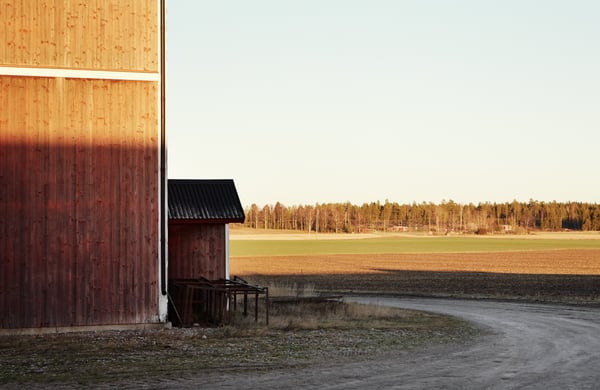Gårdsmiljö med fält och skog i bakgrunden.