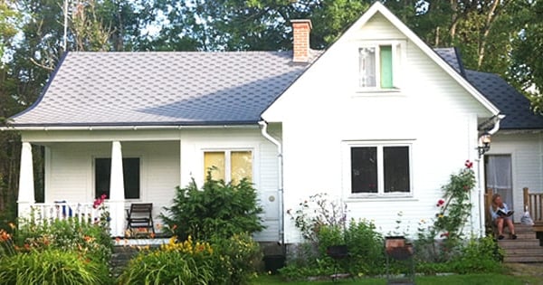 Vit villa