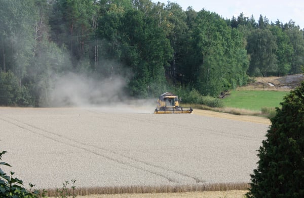 Skördetraktor på åker