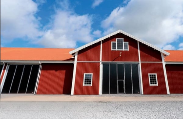Rött stort hus